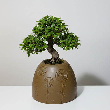 saksıyım ben | büyük boy