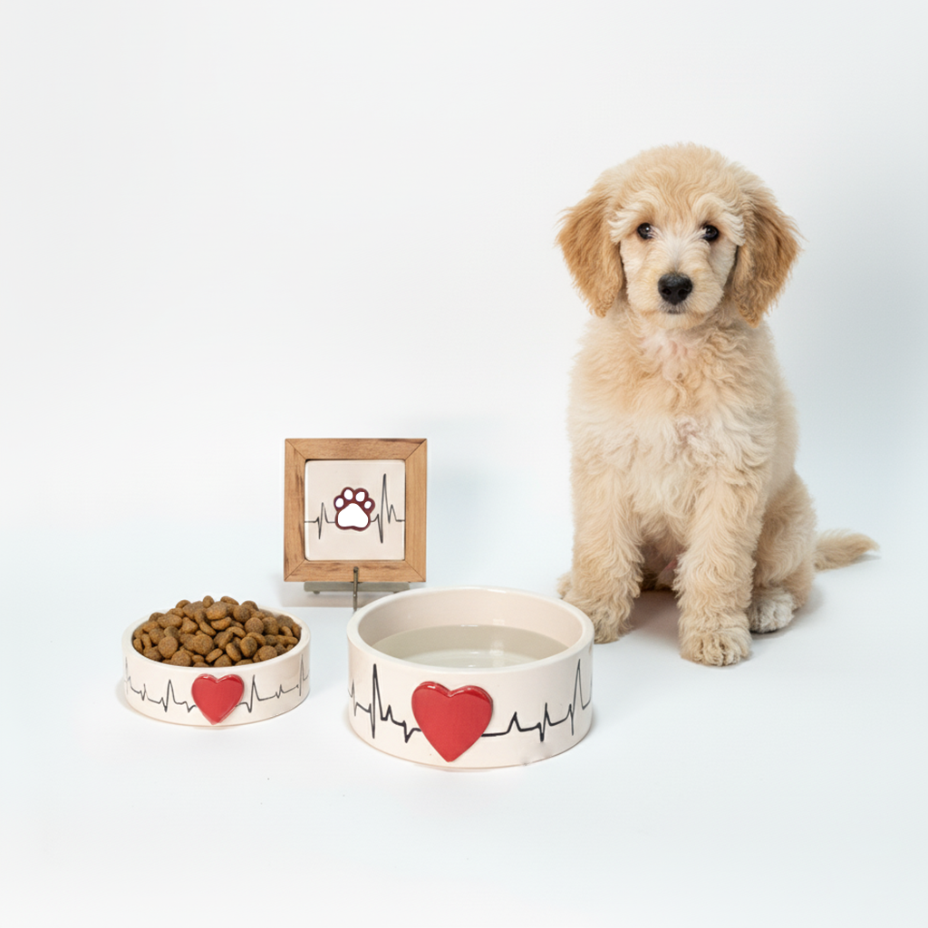 mama kabı + su kabı + tasma askısı