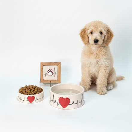 mama kabı + su kabı + tasma askısı