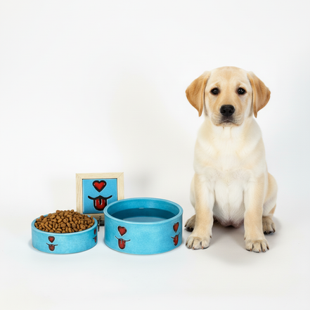 mama kabı + su kabı + tasma askısı